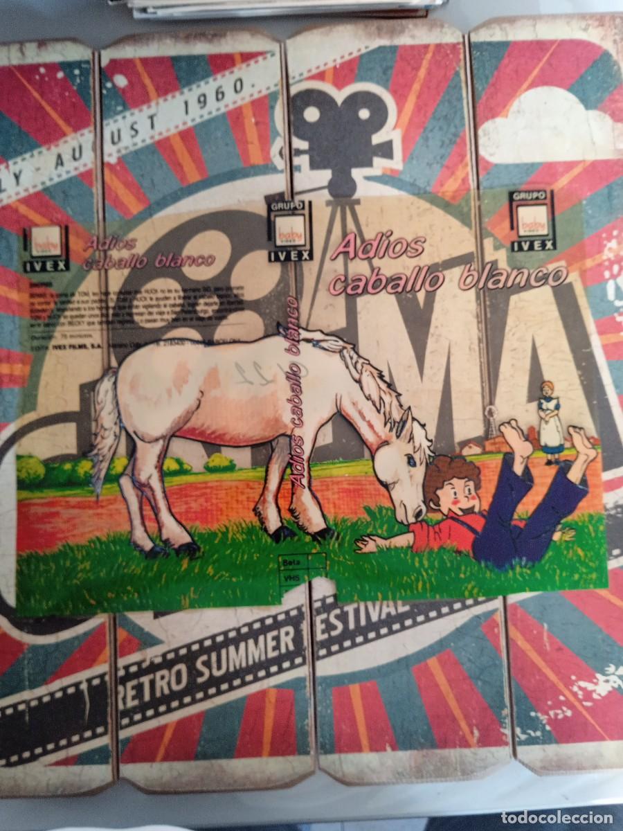 Cinema: Car&aacute;tula Las aventuras de Tom Sawyer Adi&oacute;s caballo blanco
