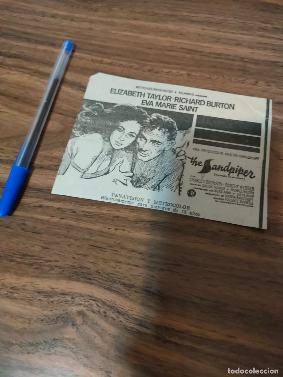 Cine: RECORTES ORIGINALES DE PRENSA CINE- THE SANDPIPER, ELIZABETH TAYLOR