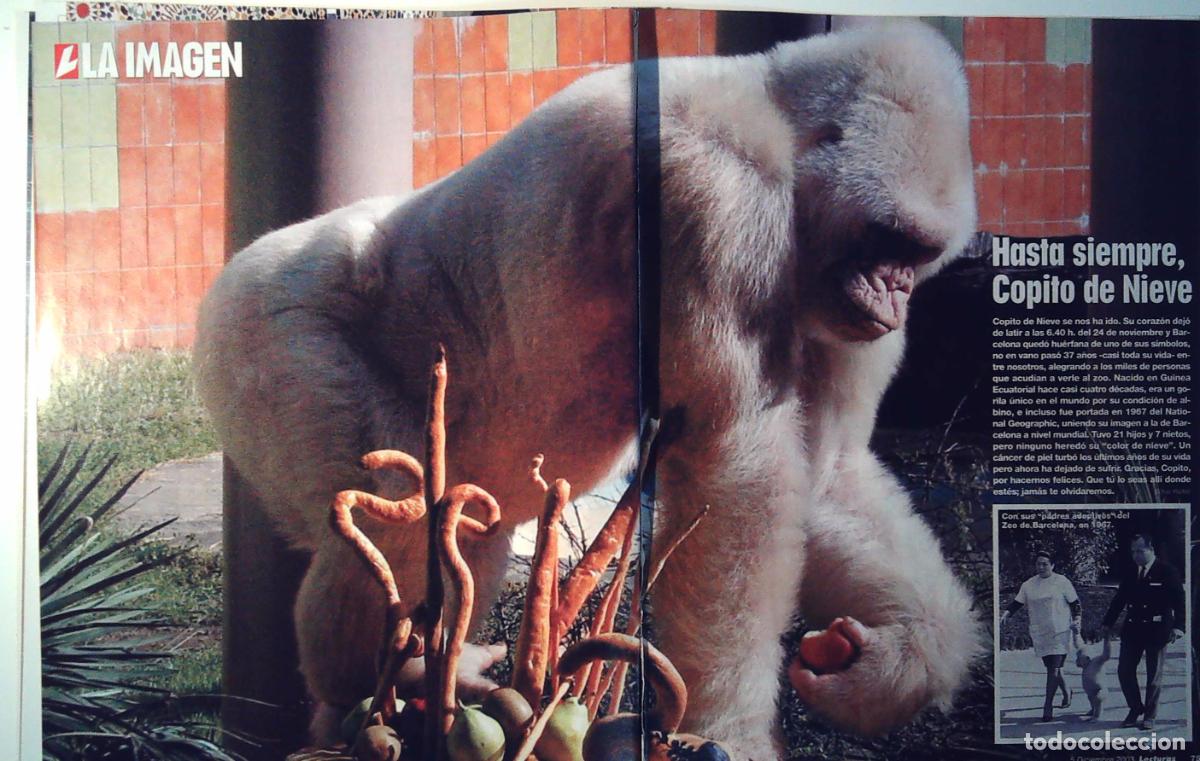 Cin&eacute;ma: copito de nieve el zoo de barcelona matrimonio de criadores