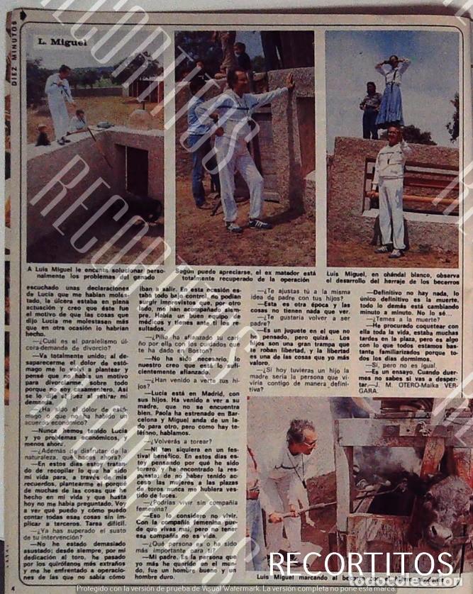 Cine: LUIS MIGUEL DOMINGUIN EL NUMERO 1 - Foto 2