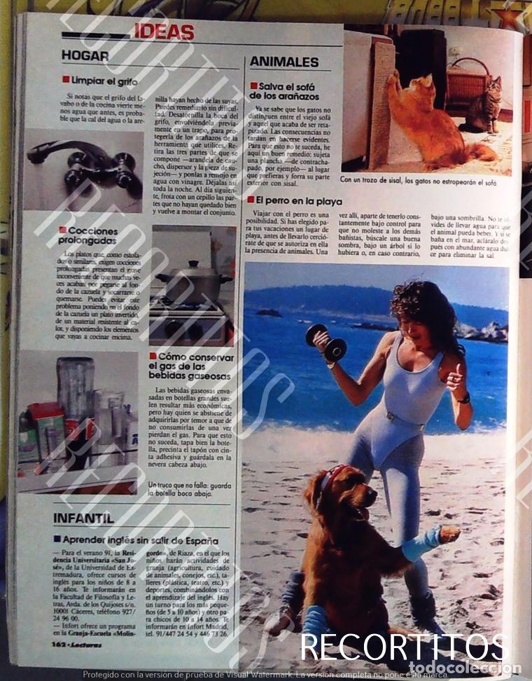 Kino: PERRO AEROBIC ANIMALES