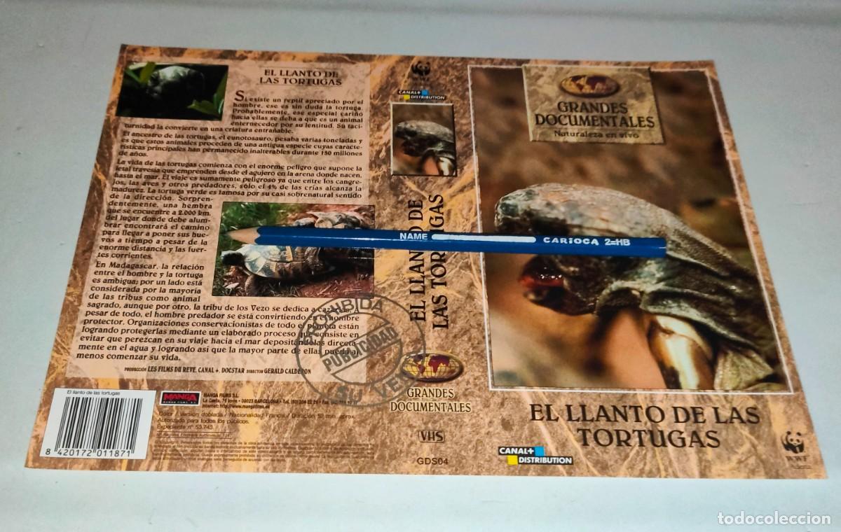 Kino: CAR&Aacute;TULA VHS &bull; GRANDES DOCUMENTALES: EL LLANTO DE LAS TORTUGAS