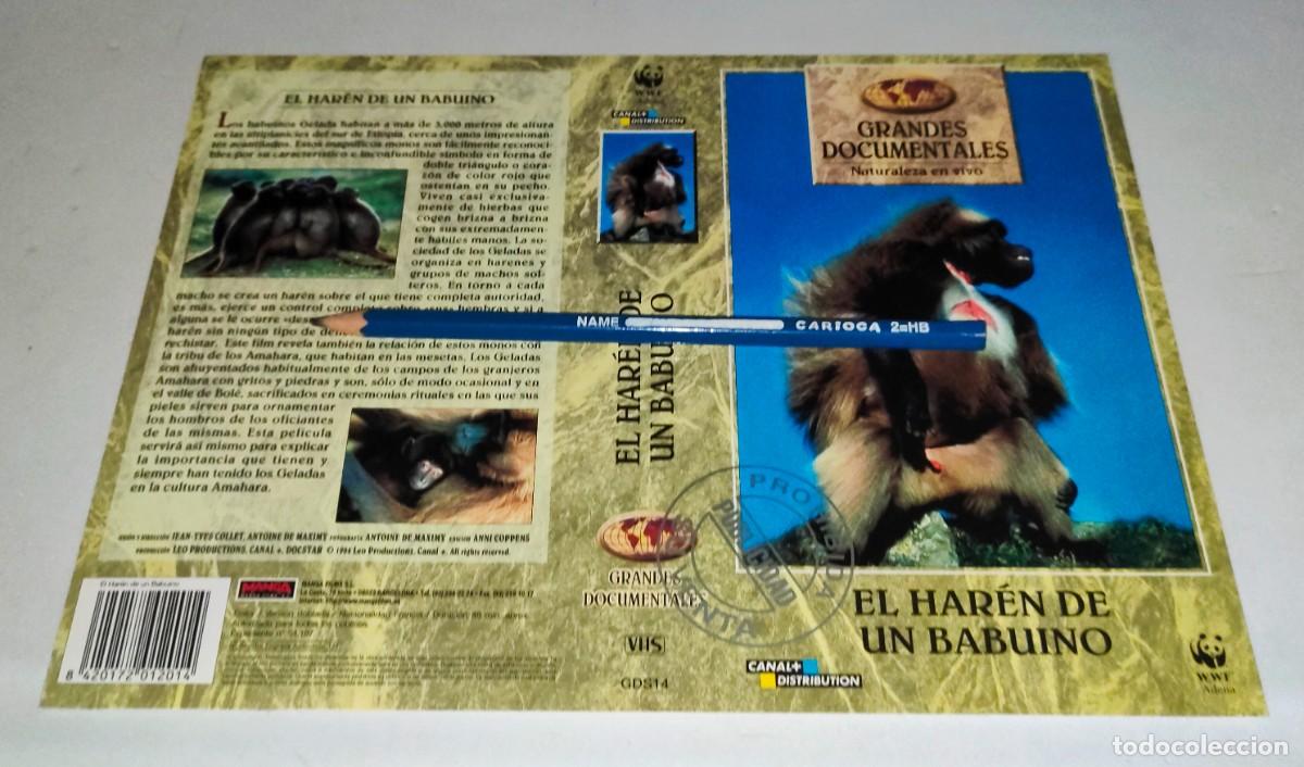 Cin&eacute;ma: CAR&Aacute;TULA VHS &bull; GRANDES DOCUMENTALES: EL HAR&Eacute;N DE UN BABUINO