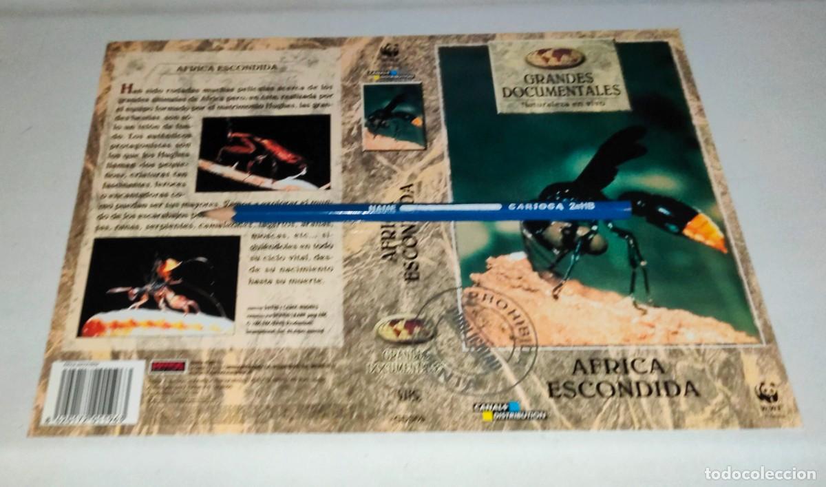 Cin&eacute;ma: CAR&Aacute;TULA VHS &bull; GRANDES DOCUMENTALES: &Aacute;FRICA ESCONDIDA