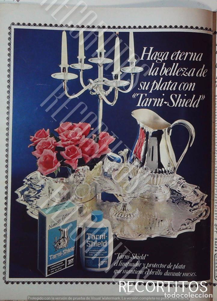 Kino: TARNI SHIELDS PUBLICIDAD