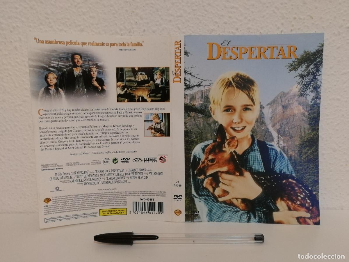 Cine: CARATULA ORIGINAL -A4- EL DESPERTAR - GREGORY PECK - Foto 1