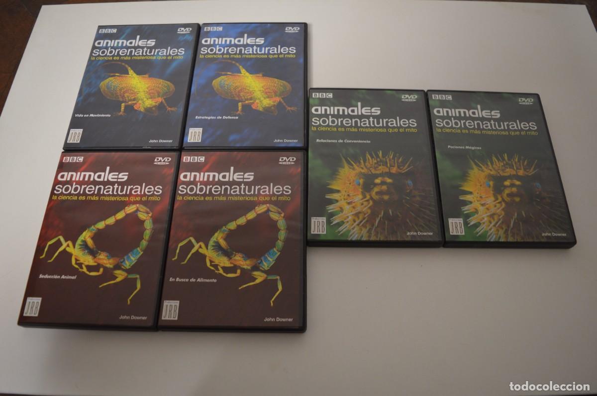Cine: COLECCI&Oacute;N CASI COMPLETA ANIMALES SOBRENATURALES DVD VIDA EN MOVIMIENTO POCIONES M&Aacute;GICAS