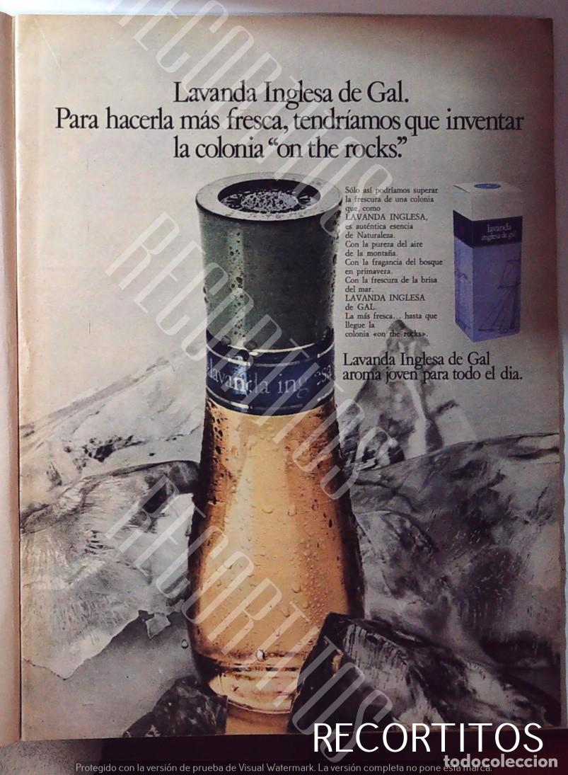 Kino: LAVANDA INGLESA DE GAL ANUNCIO PUBLICIDAD