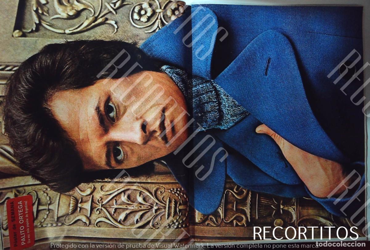 Kino: PALITO ORTEGA POSTER