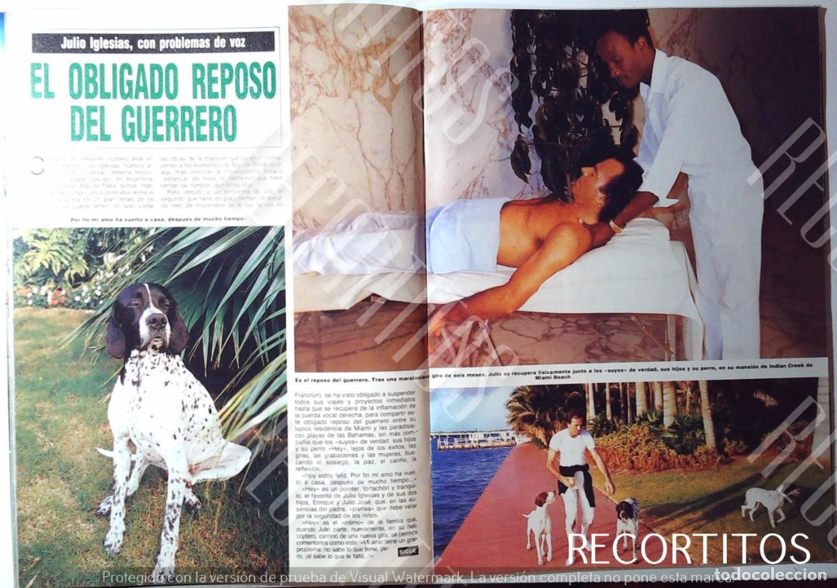 Cine: JULIO IGLESIAS Y SUS PERROS - Foto 1
