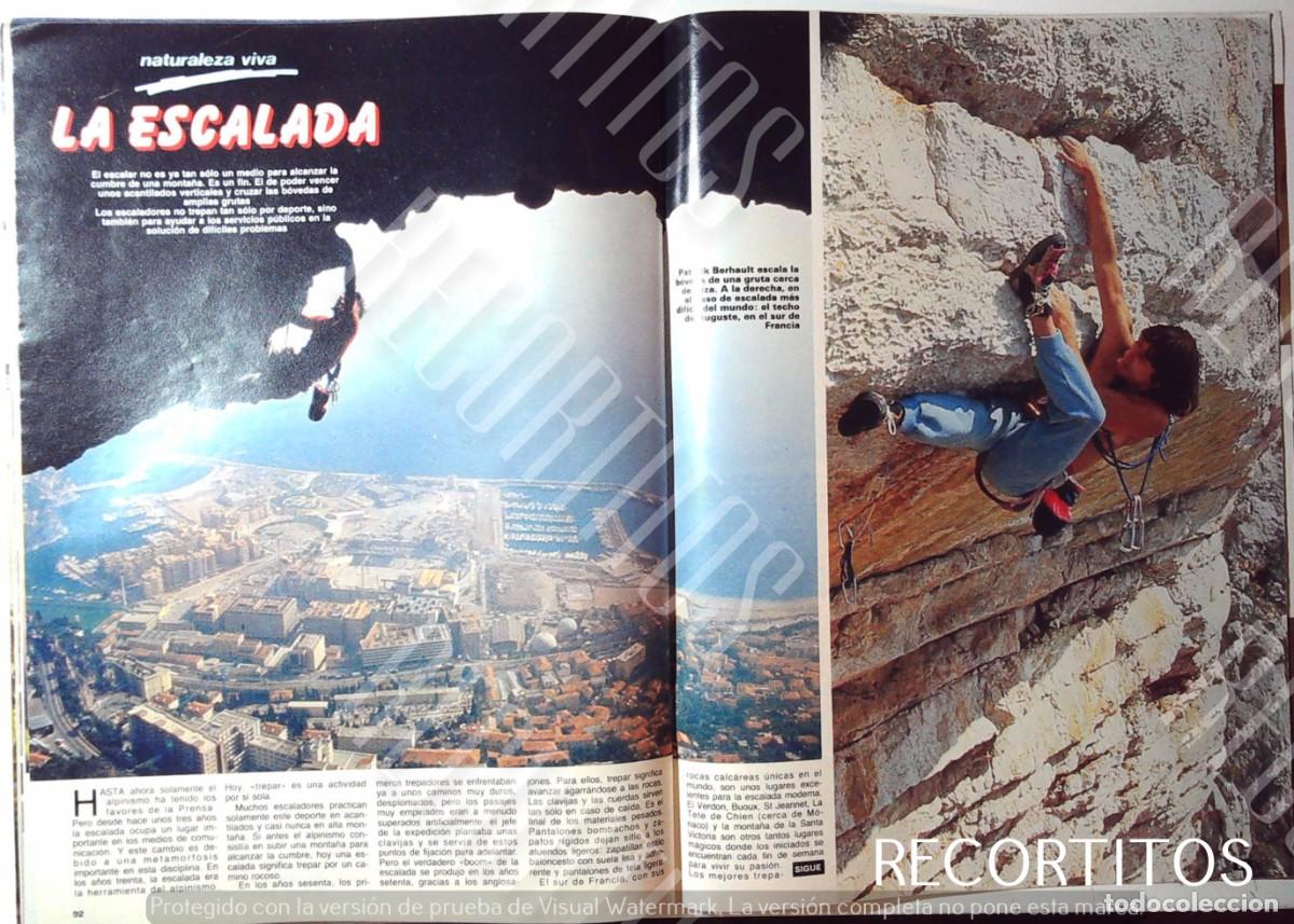 Cinema: PATRICK BERHAULT LA ESCALADA