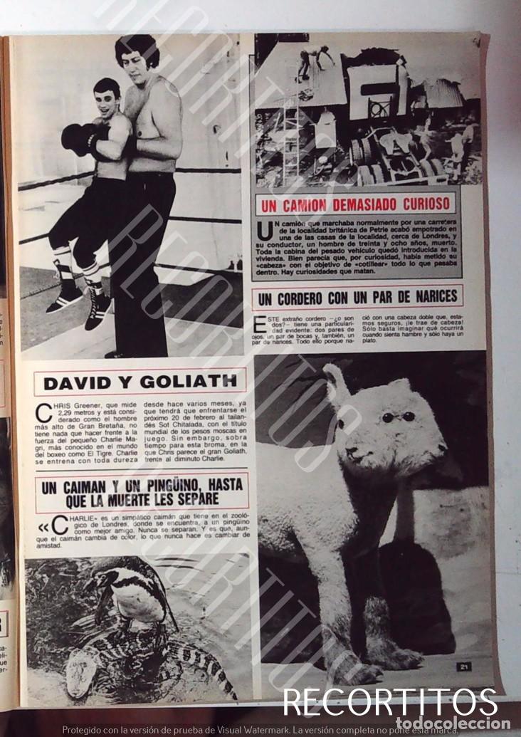 Cin&eacute;ma: GIGANTE HOMBRE ALTISIMO CHRIS GREENER 2.29 METROS