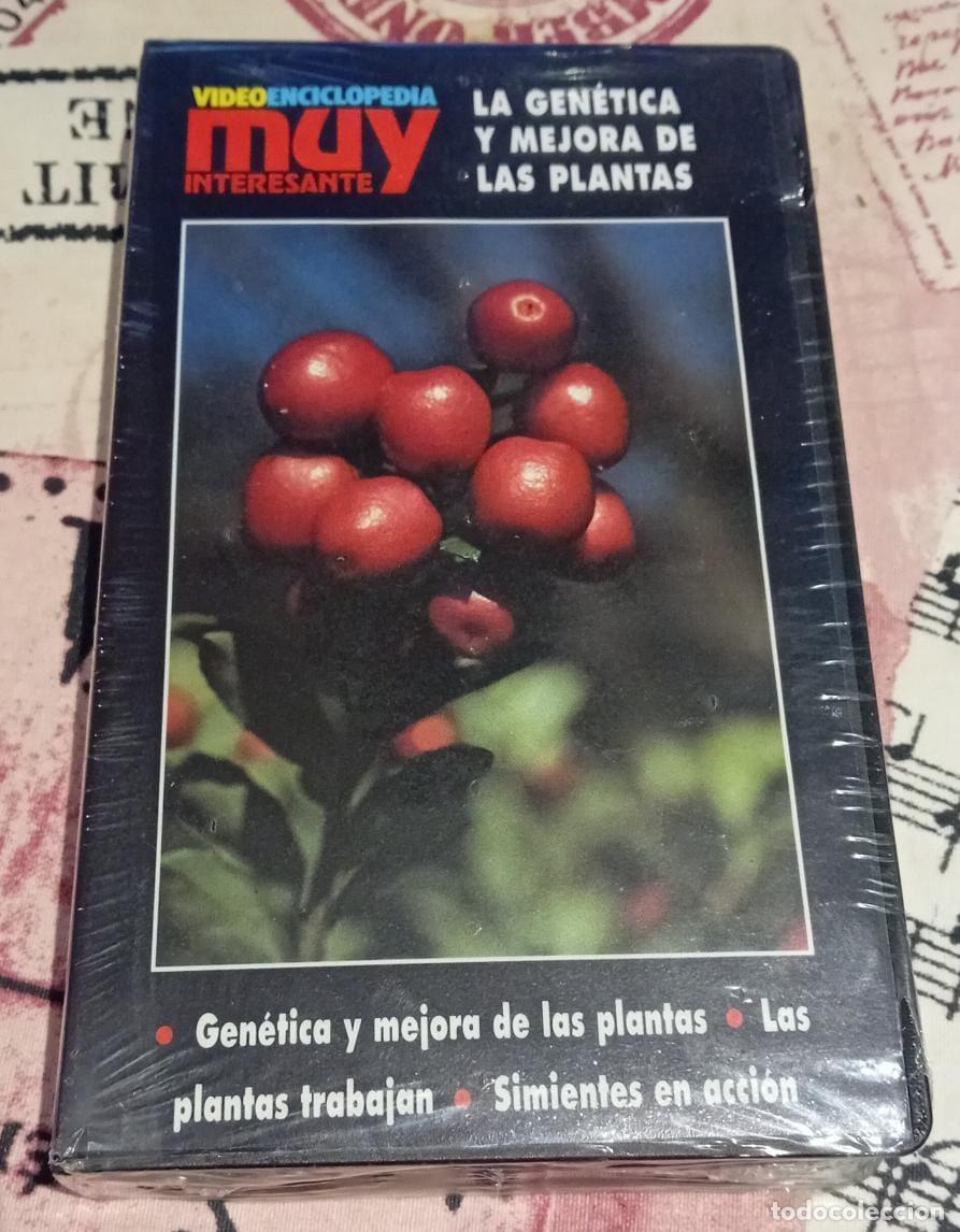 Cine: Pack VHS Muy interesante - Foto 3