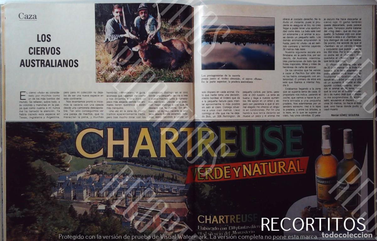 Cine: CHARTREUSE ANUNCIO PUBLICIDAD - Foto 1