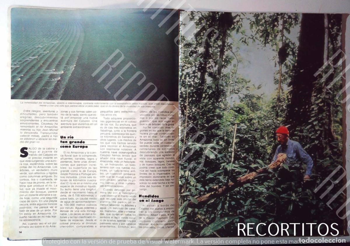 Cine: COUSTEAU CECCIONABLE EN TELEINDISCRETA EL AMAZONAS - Foto 2