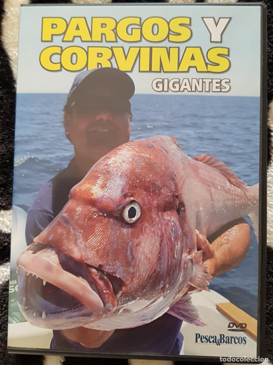 Cine: PESCA - DVD - PARGOS Y CURVINAS - Foto 1