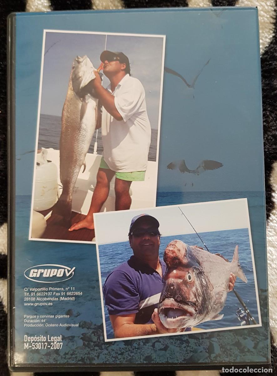 Cine: PESCA - DVD - PARGOS Y CURVINAS - Foto 3