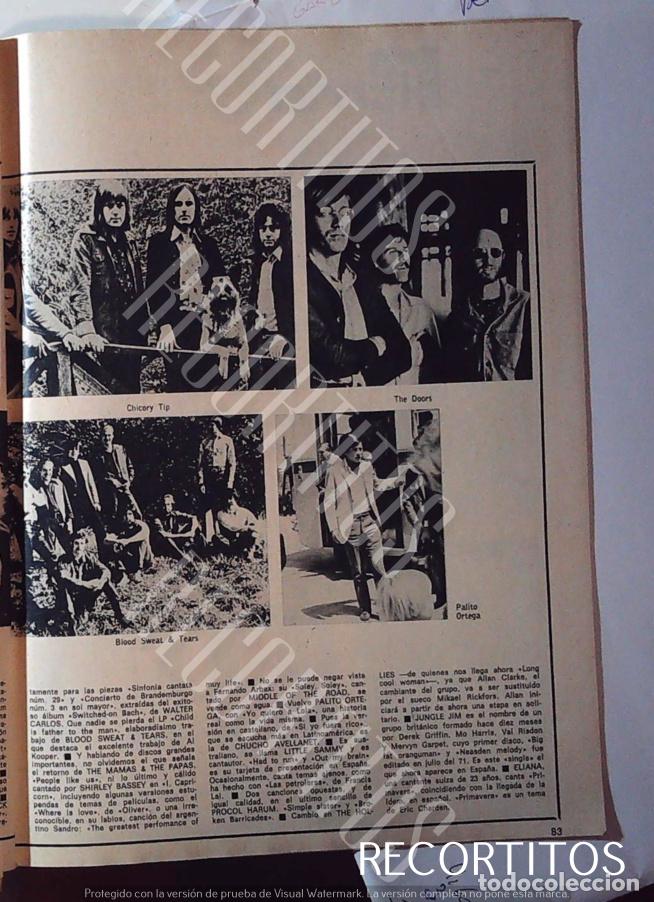 Cine: CHICORY TIP THE DOORS BLOOD SWEAT AND TESRS PALITO ORTEGA