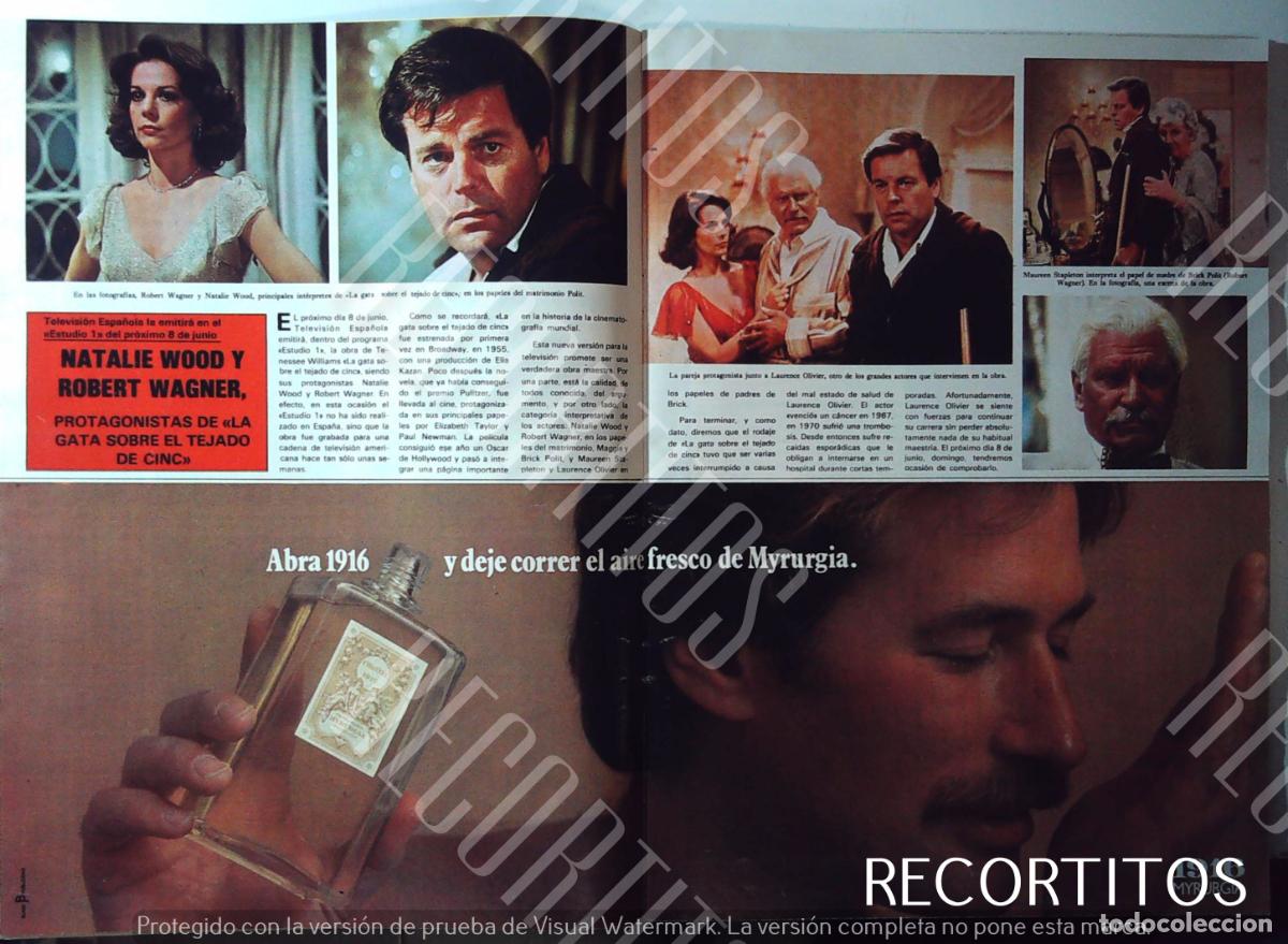 Cine: natalie wood robert wagner