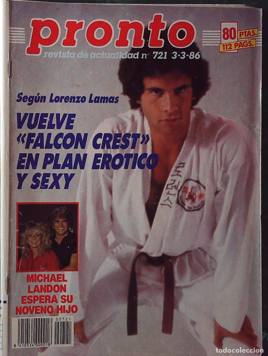 Kino: lorenzo lamas falcon crest recorte portada