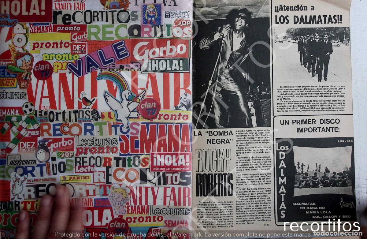 Cine: LOS DALMATAS ROCKY ROBERTS - Foto 1