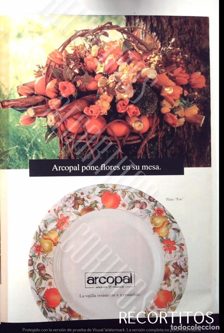 Cine: arcopal vajilla anuncio publicidad - Foto 1