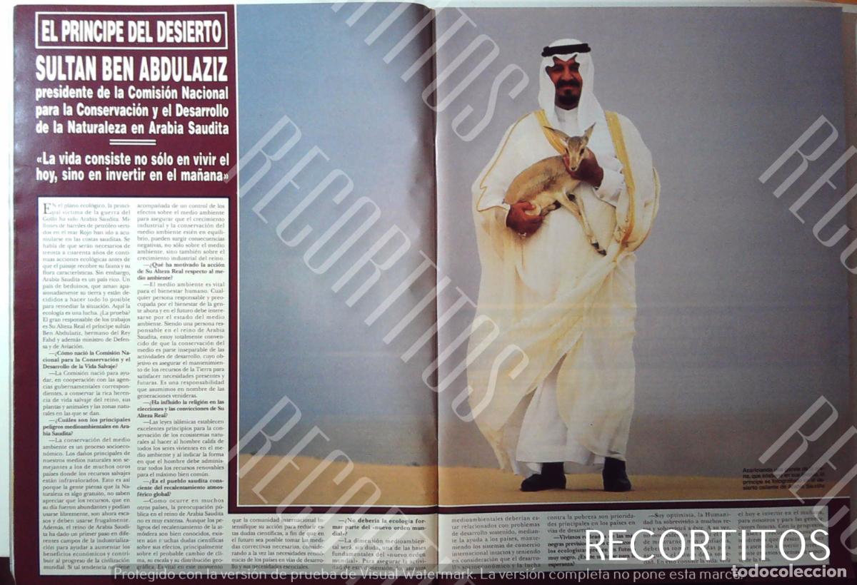 Cinema: SULTAN BEN ABDULAZIZ ARABIA SAUDI