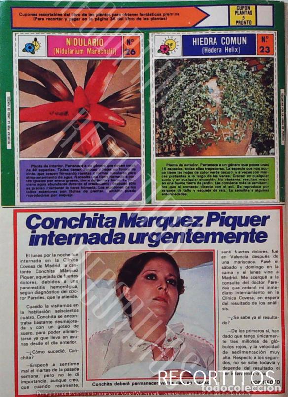 Kino: FICHAS COLECCIONABLES DE PRONTO CONCHA MARQUEZ PIQUER