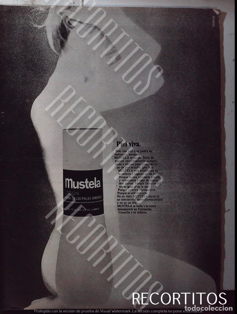Cinema: MUSTELA ANUNCIO PUBLICIDAD