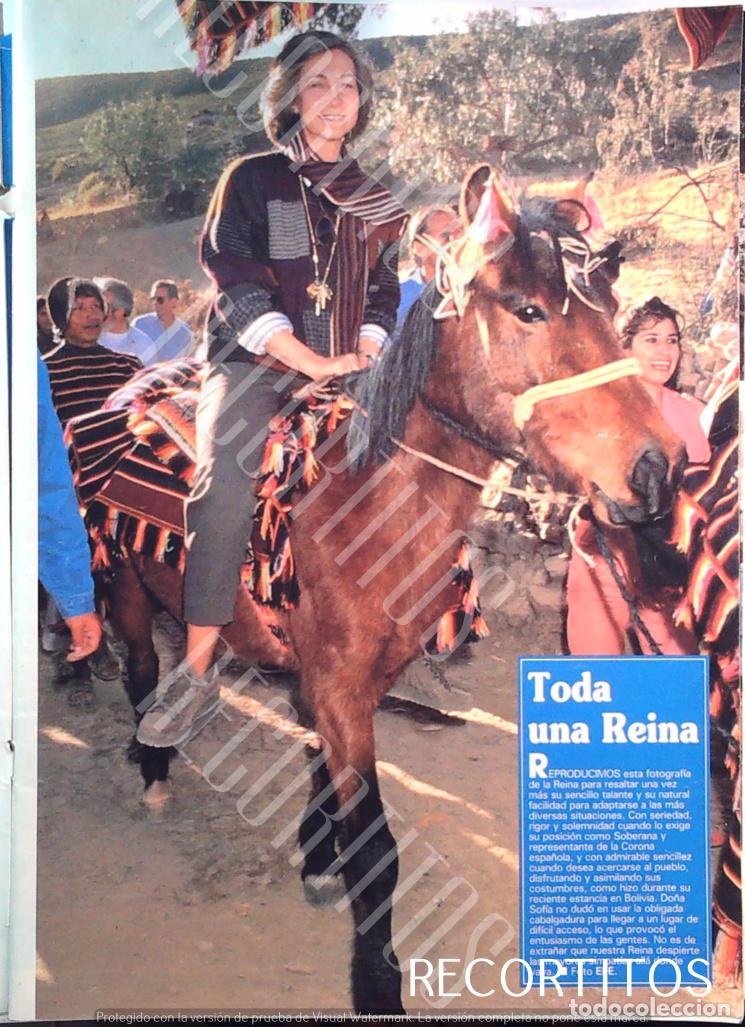 Cinema: do&ntilde;a sofia en bolivia