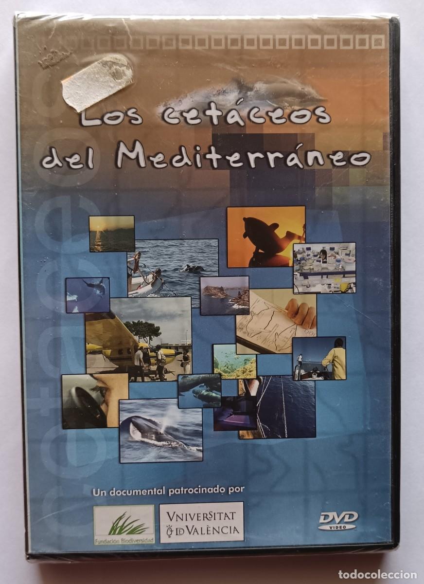 Cinema: los cetaceos del Mediterraneo-precintado.