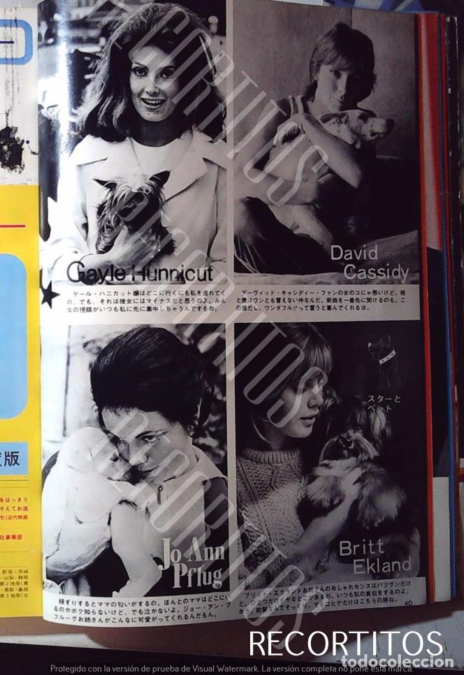 Cin&eacute;ma: PIN UP JAPAN VANESSA REDGRAVE GAYLE HUNNICUT DAVID CASSIDY JO ANN PFLUG BRITT EKLAND