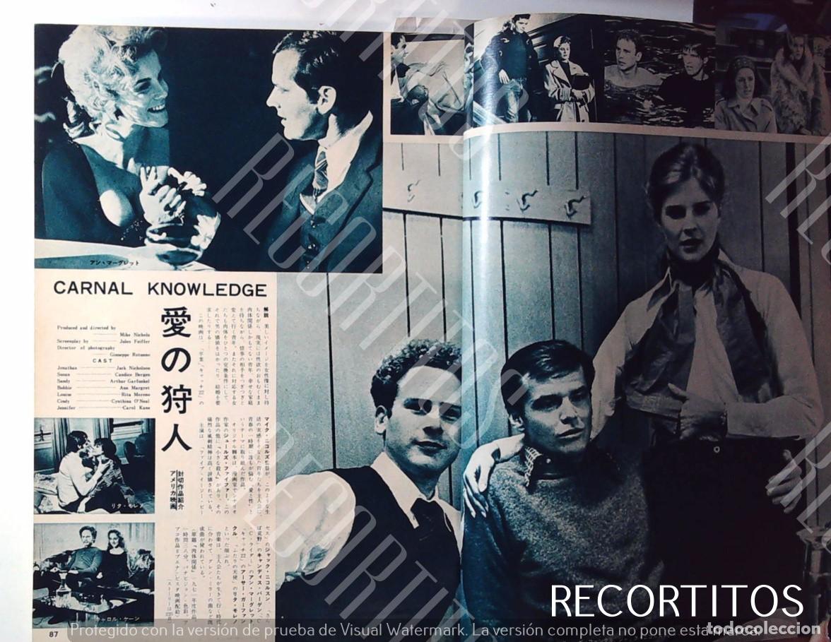Cinema: CANDICE BERGEN GARFUNKEL ARTHUR ANN MAGRET JACK NICHOLSON JAPAN