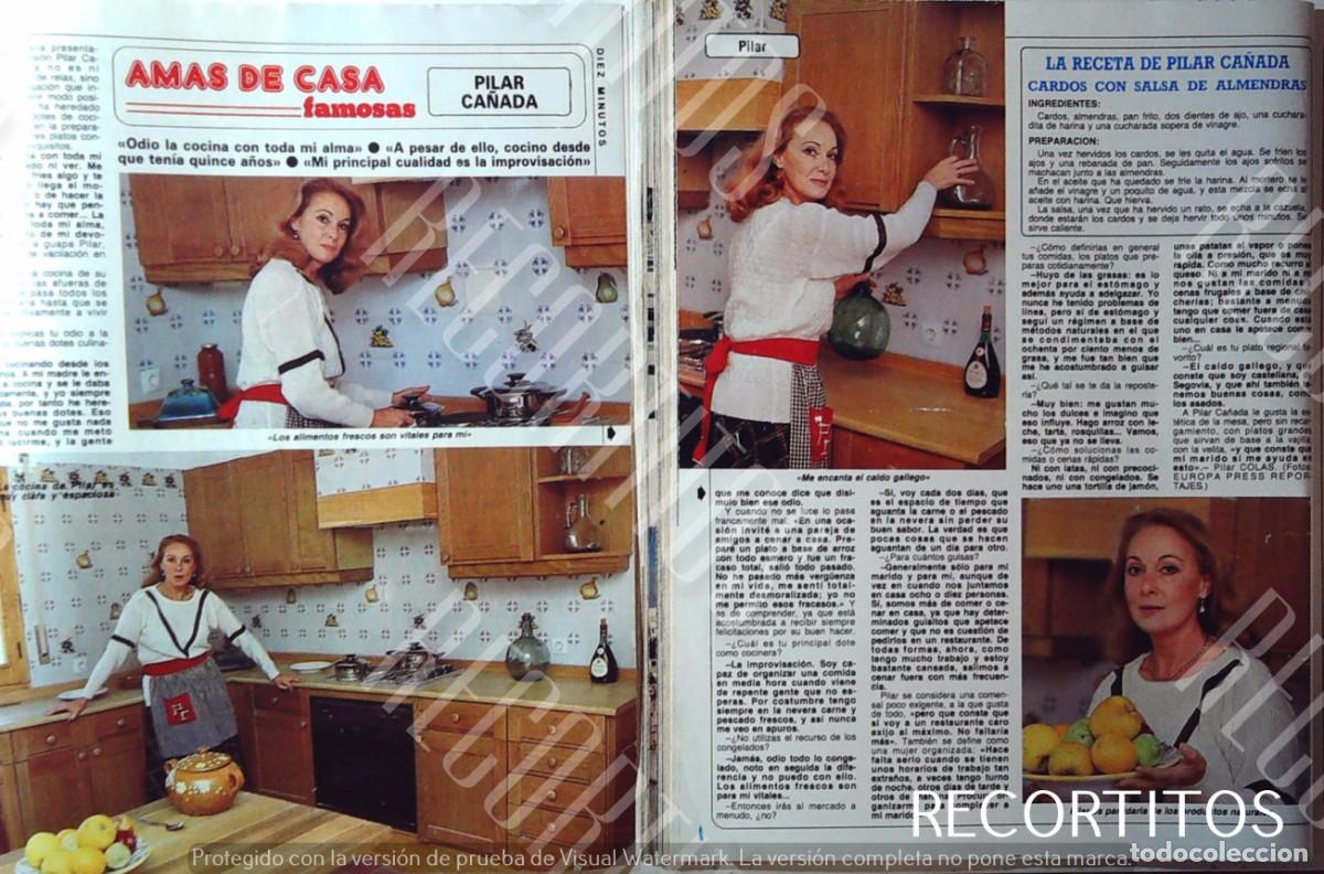 Cinema: pilar ca&ntilde;ada amas de casa famosas