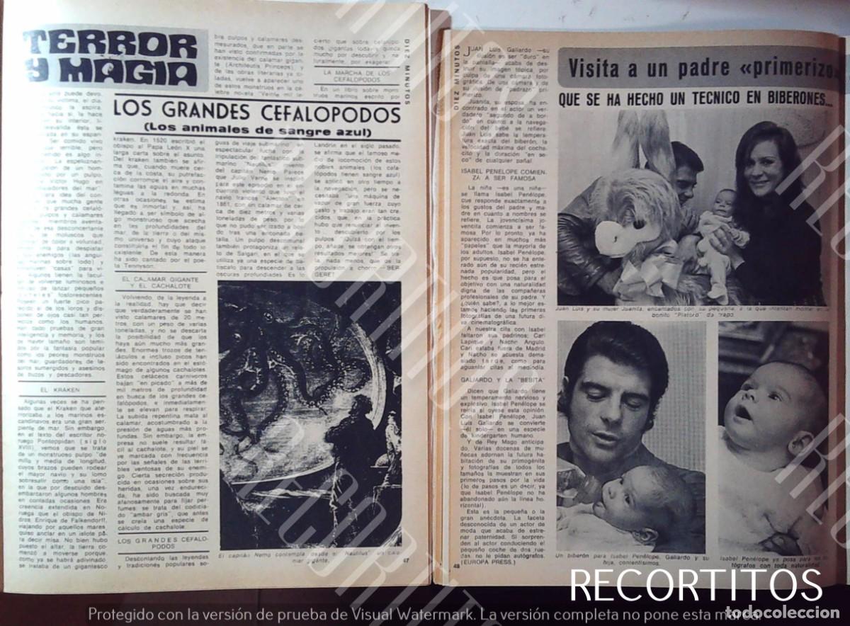 Cinema: TERROR Y MAGIA LOS GRANDES CEFALOPODOS