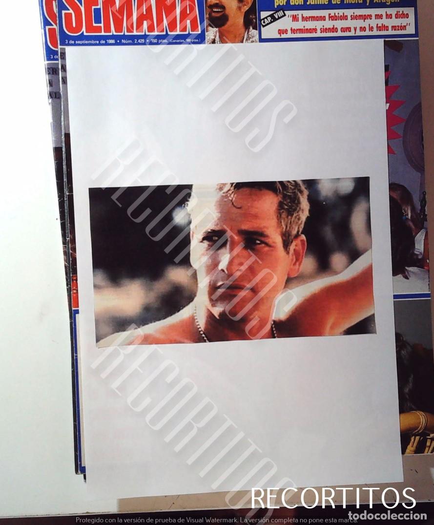 Cine: PAUL NEWMAN CKIPPINGS - Foto 1