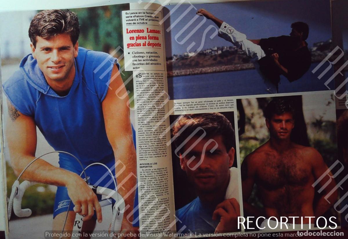 Cine: lorenzo lamas falcon crest