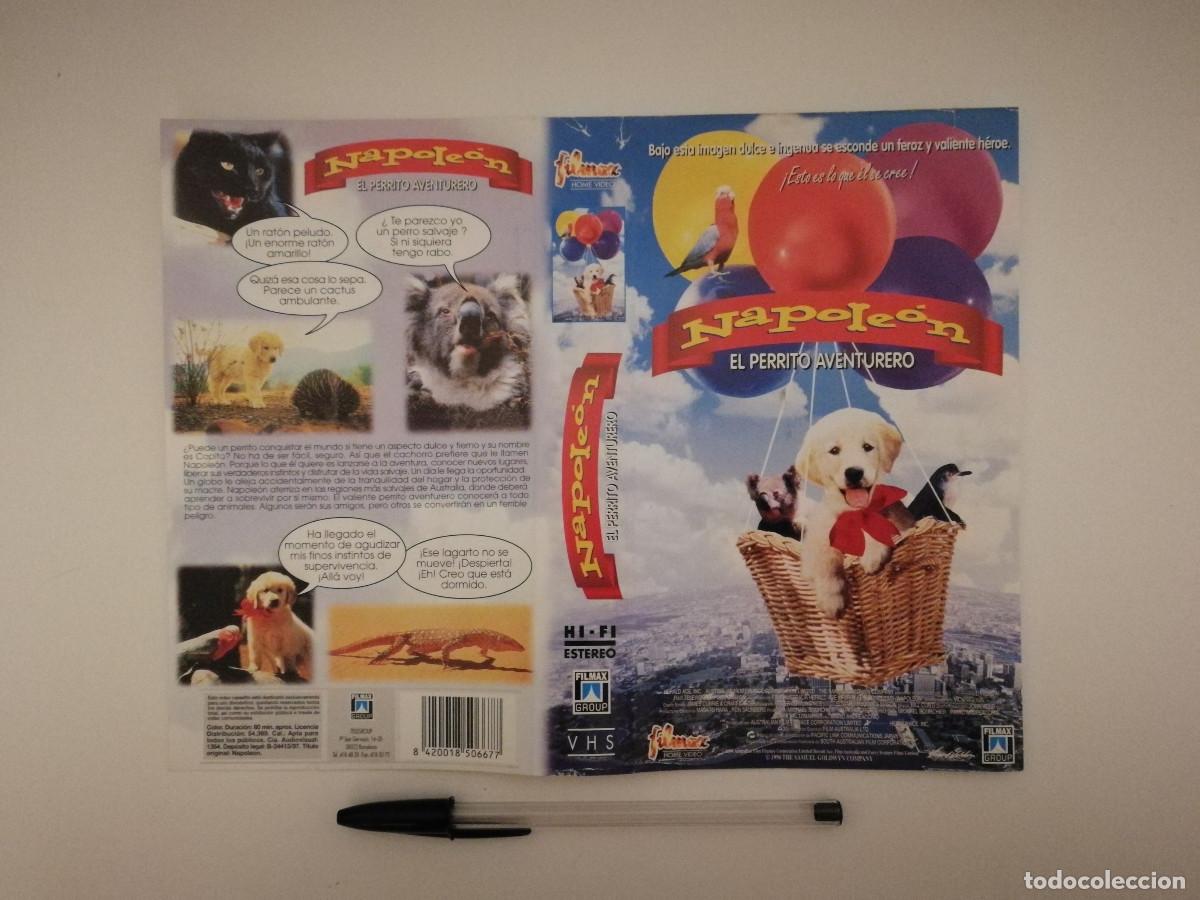 Kino: CARATULA ORIGINAL -A4- Napoleon: El perrito aventurero - FAUNA