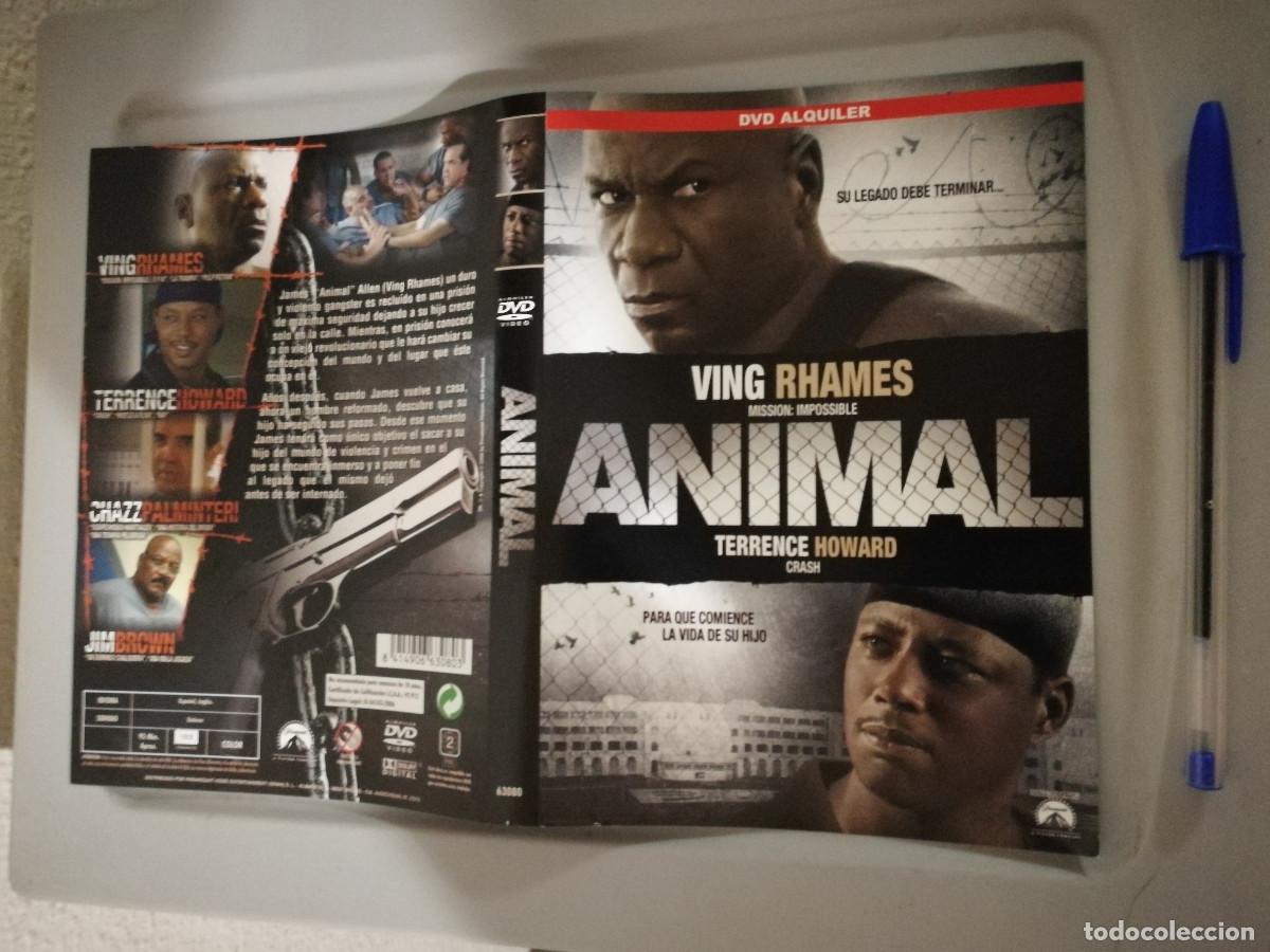 Cinema: CARATULA ORIGINAL -A4- ANIMAL - VING RHAMES
