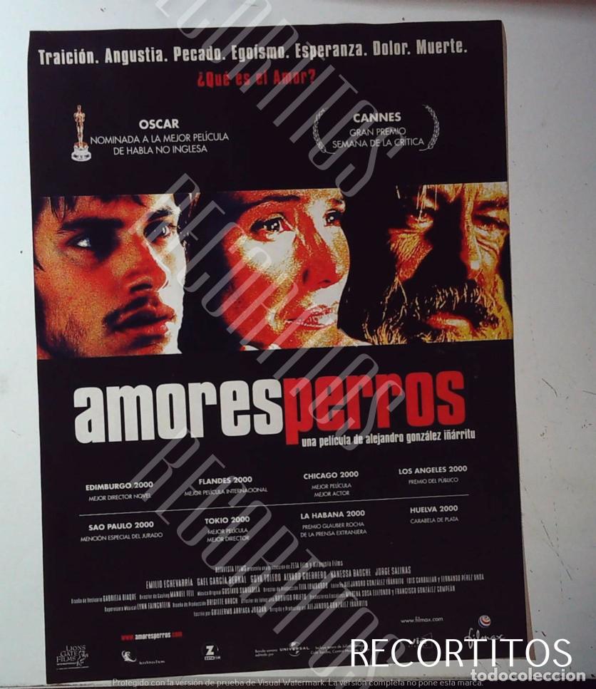 Cinema: GAEL GARCIA BERNAL amores perros