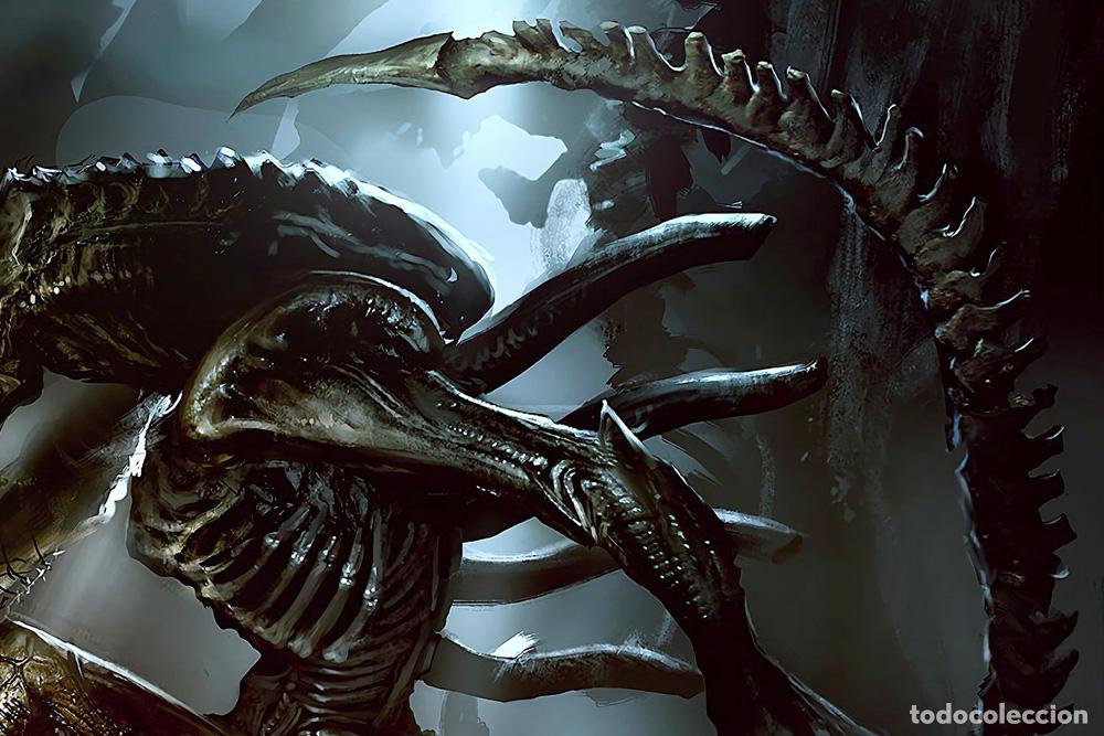 Cine: POSTER ALIEN VS PREDATOR - Foto 3