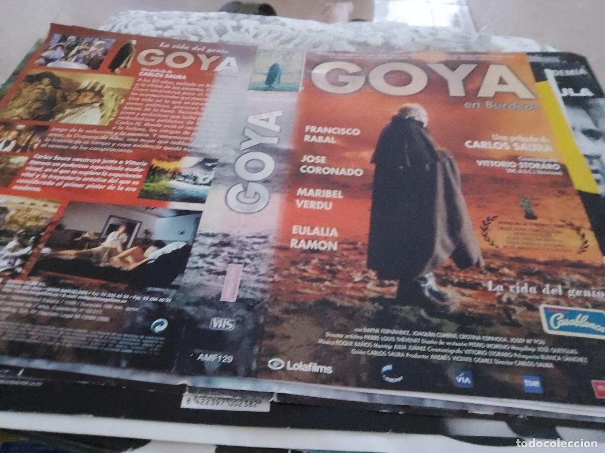 Cinema: Goya solo car&aacute;tulaGoya solo car&aacute;tula