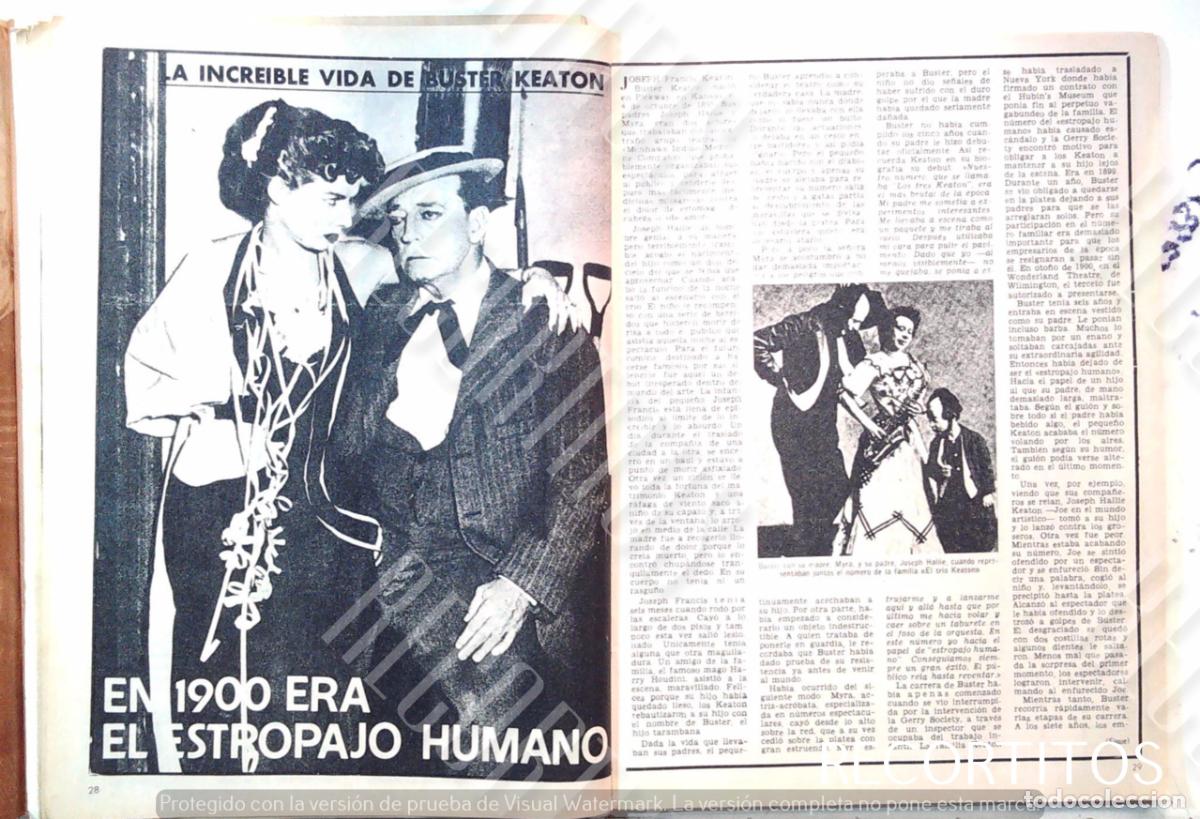 Cinema: la vida de buster keaton