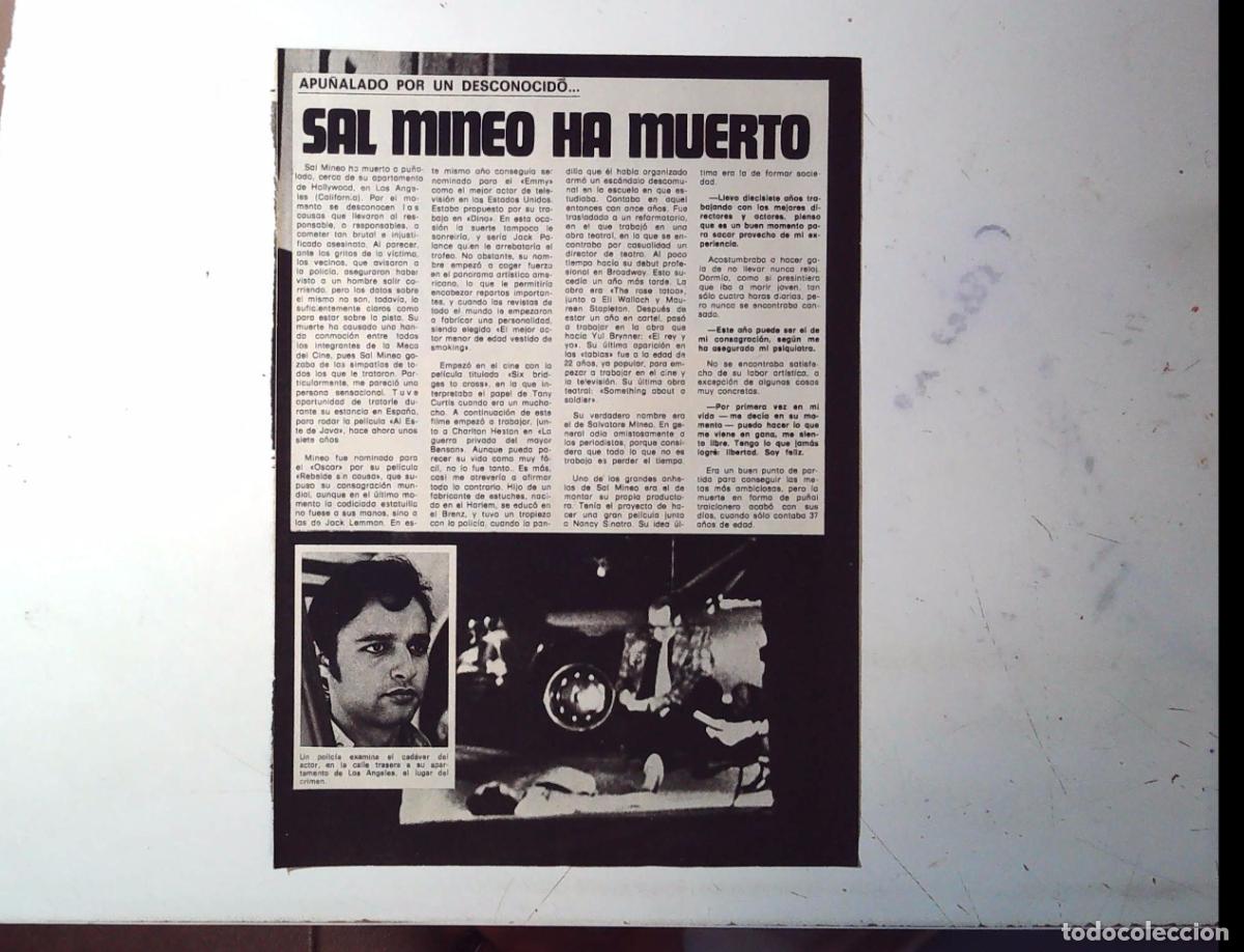 Cinema: SAL MINEO HA MUERTO SAL MINEO