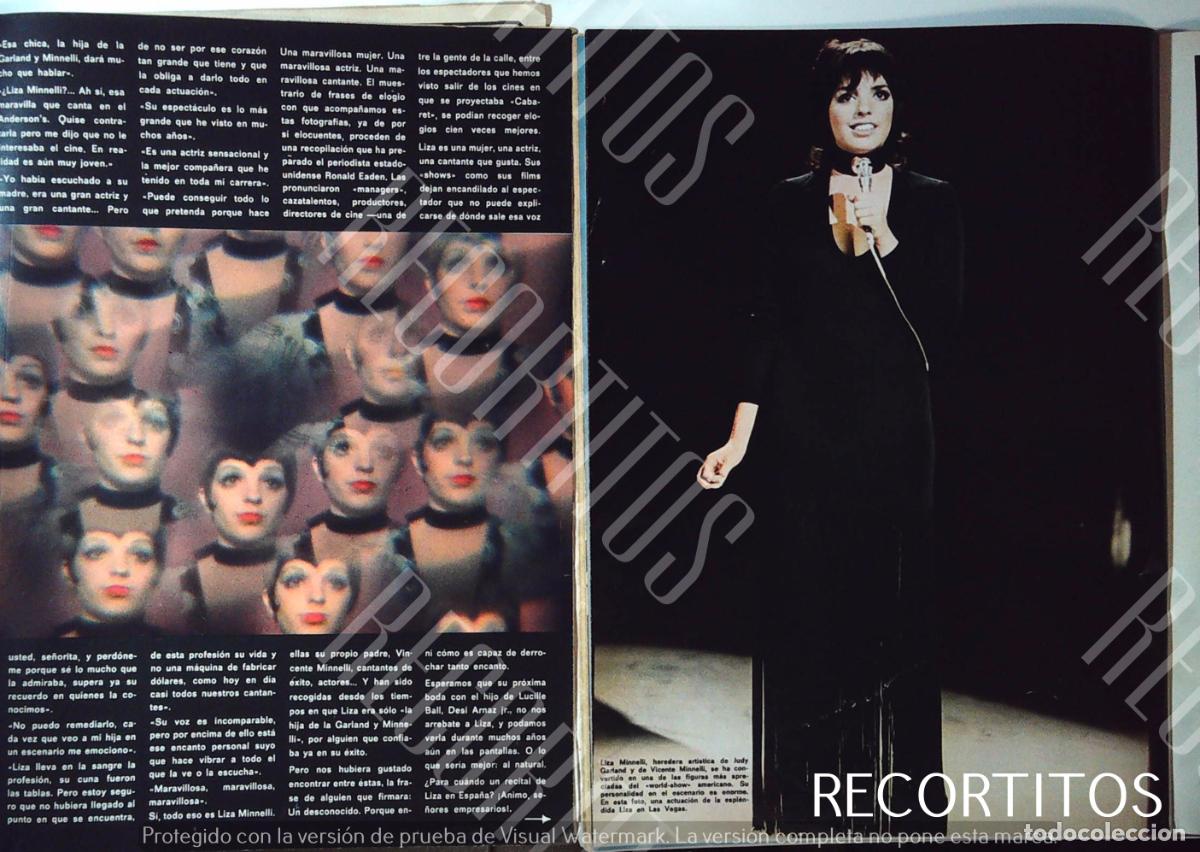 Cine: LIZA MINELLI CABARET - Foto 2