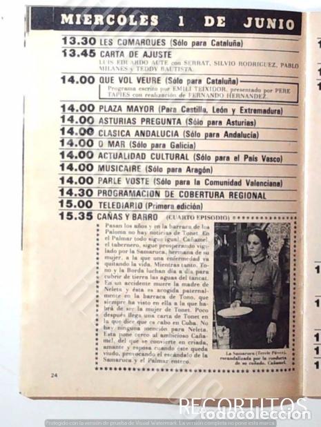 Cine: CA&Ntilde;AS Y BARRO TERELE PAVEZ - Foto 1