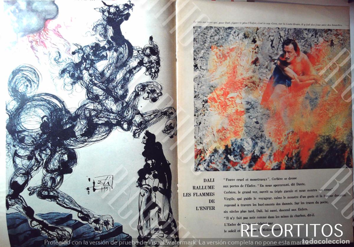 Cine: SALVADOR DALI GALA CADAQUES - Foto 2