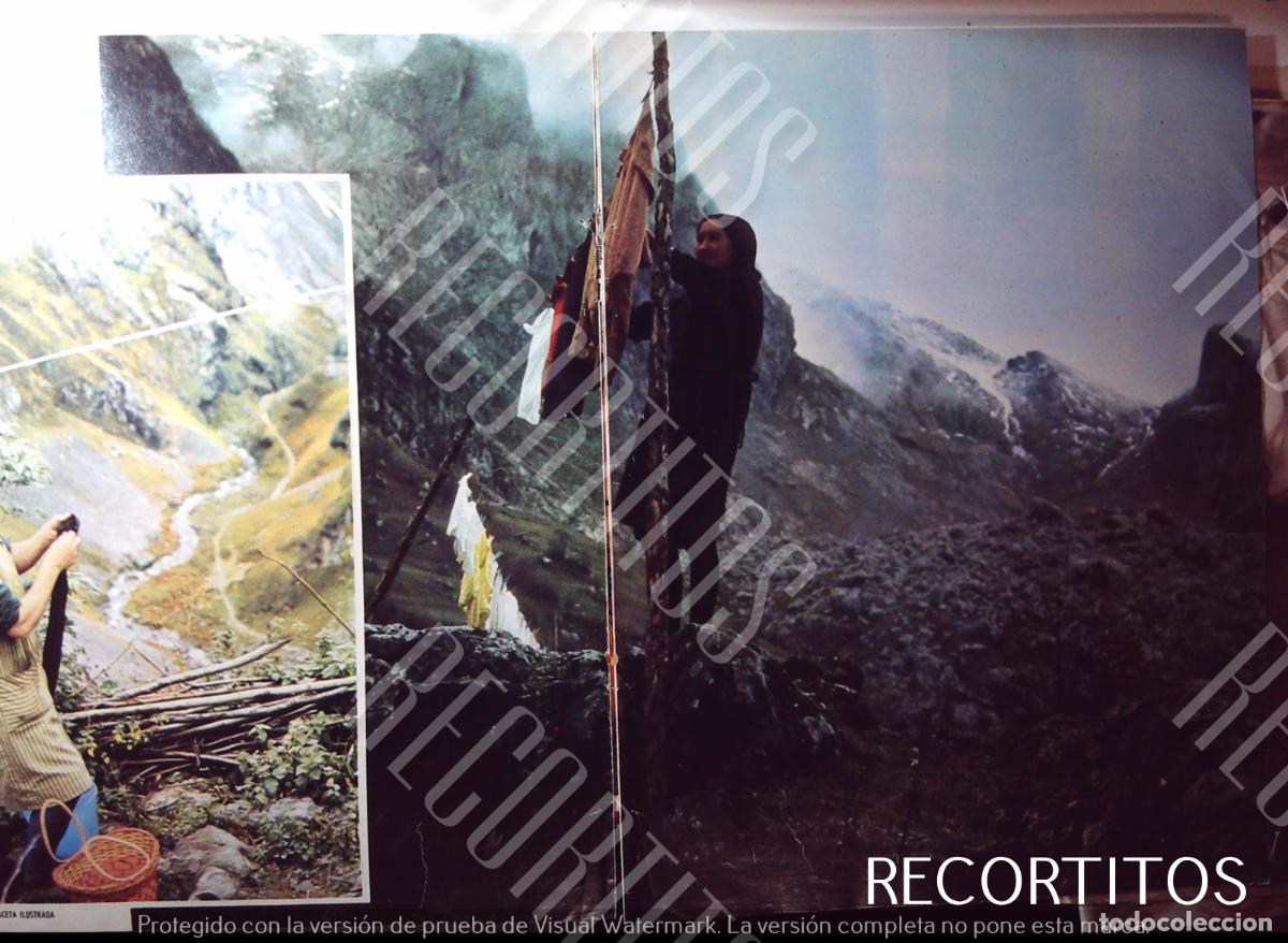 Cine: BULMES EL NARANJO DE BULNES - Foto 3