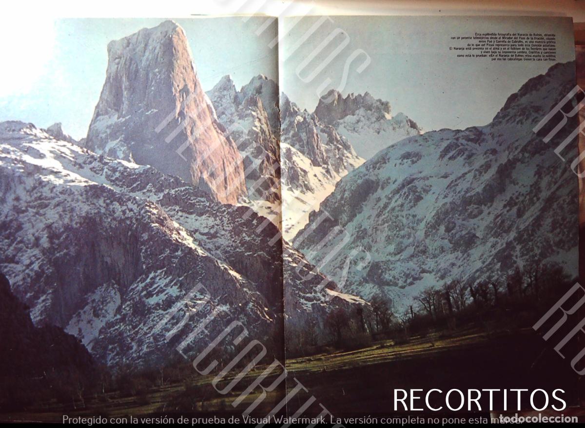 Cine: BULMES EL NARANJO DE BULNES - Foto 4