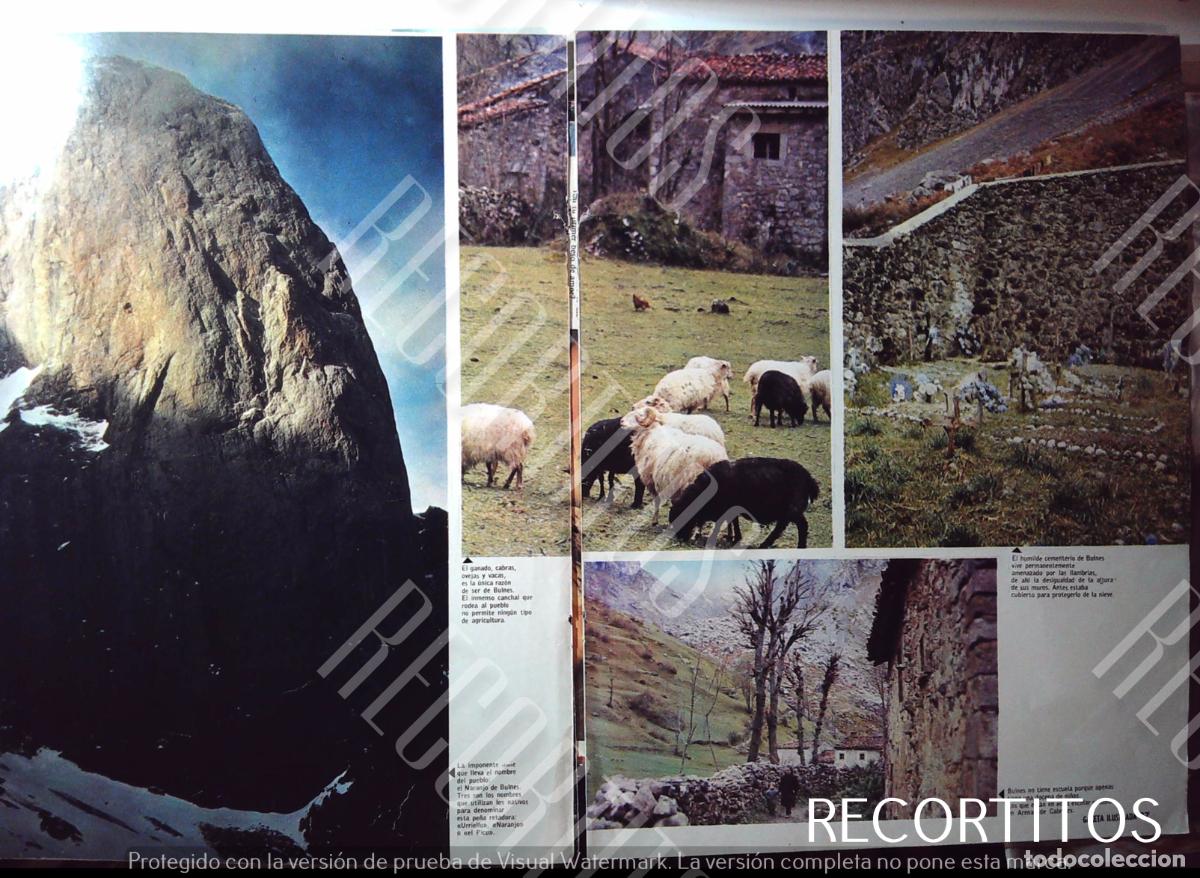 Cine: BULMES EL NARANJO DE BULNES - Foto 1